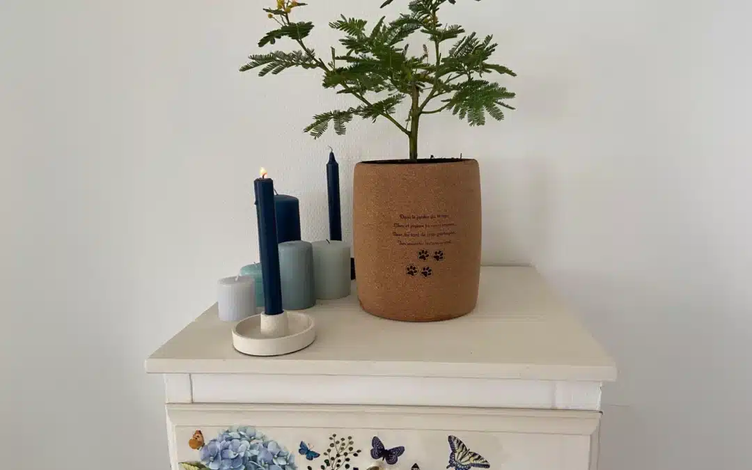 Everything You Need to Know About Urns with a Tree