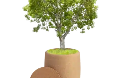 Biodegradable Tree Urn for PET ashes