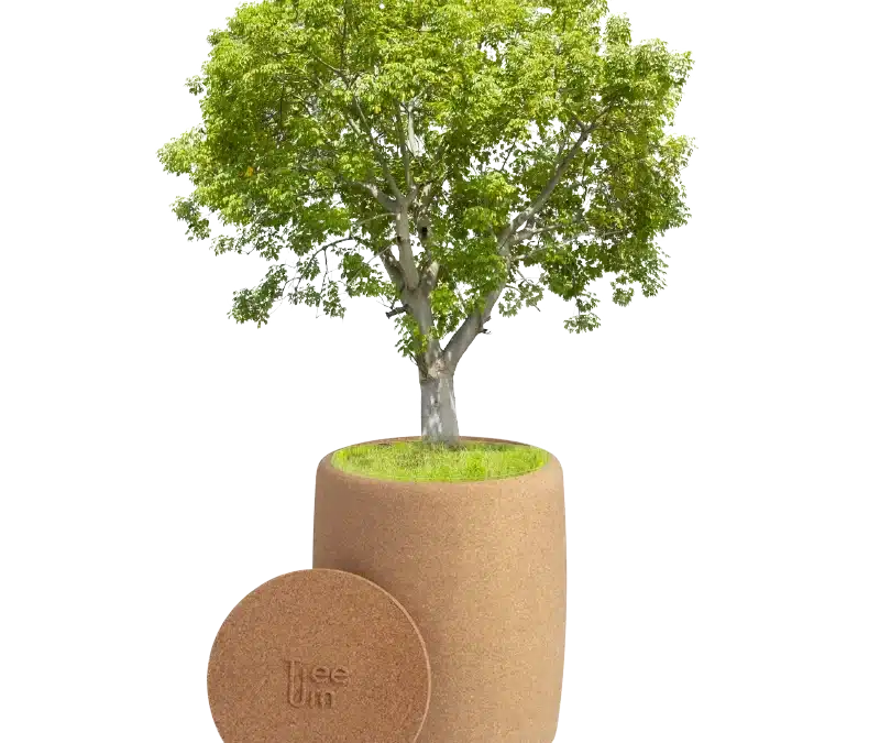 Biodegradable Tree Urn for PET ashes