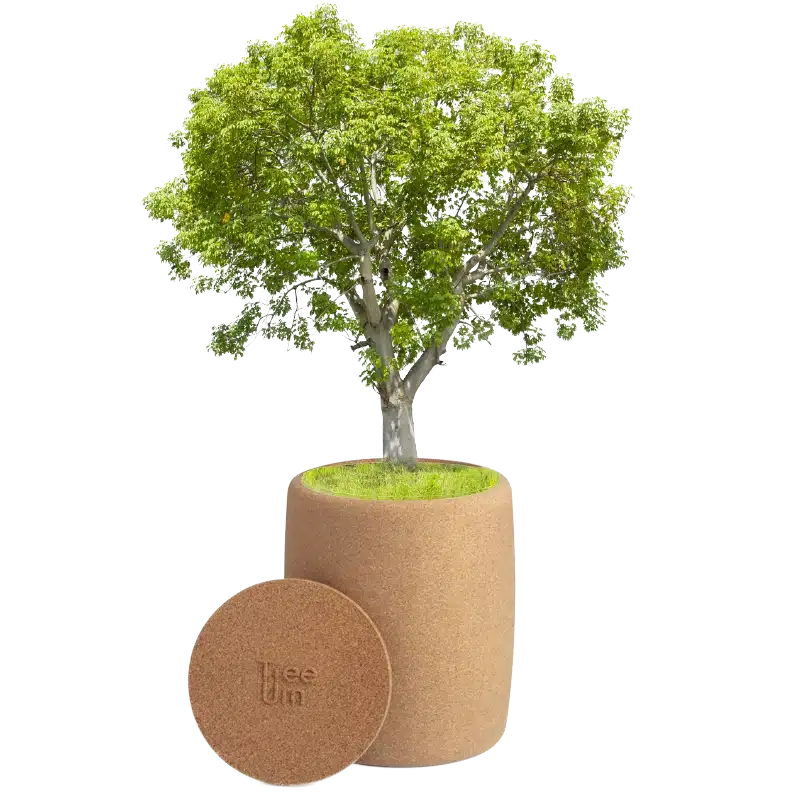 Funeral Urn with Tree Home Biodegradable cork Tree Urn for Pet & Human ashes