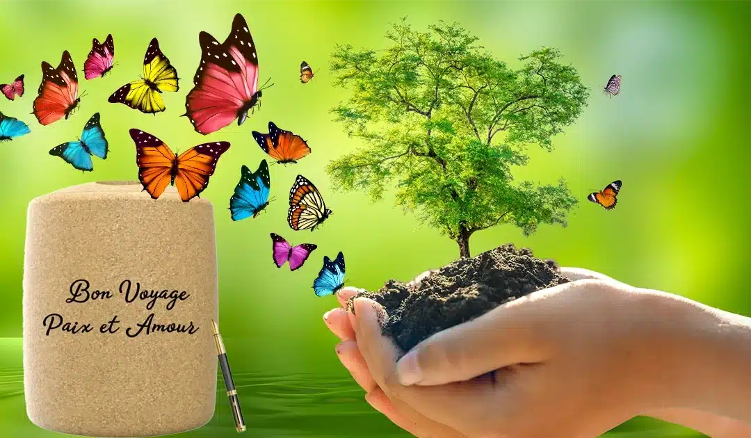 Eco-Friendly Urn S — for dogs or cats up to 10 kg