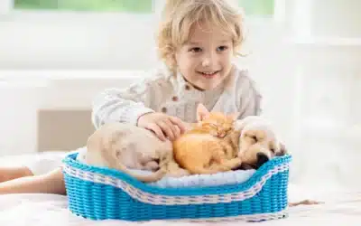 Tips to Help a Child Cope with Pet Loss