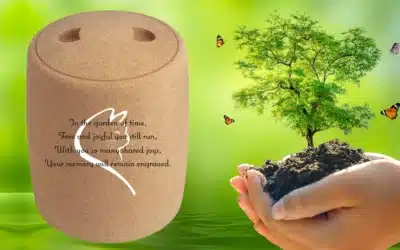 Cremation Urns for cat’s ashes – Personalized