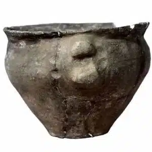 Urnfield culture – urne funéraire