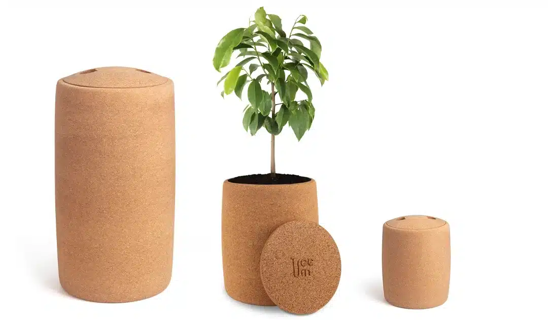 Buy Tree Burial Urn