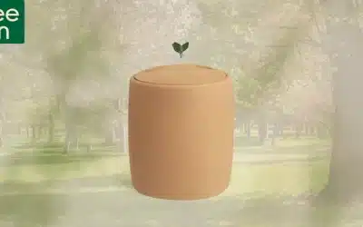 Ecological urns: A sustainable alternative for the planet