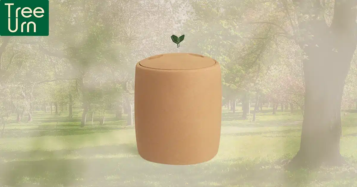 Ecological urns A sustainable alternative for the planet Ecological urns a sustainable alternative for the planet