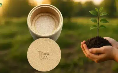 How to personalize and choose the right size urns for ashes?