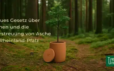 New German Funeral Law: Urns at Home & Ash Scattering