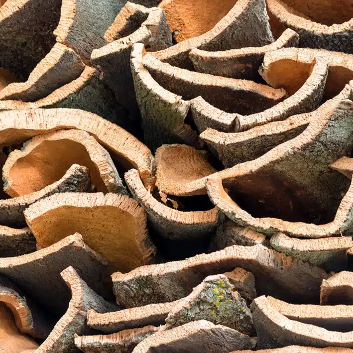 Pieces of Cork
