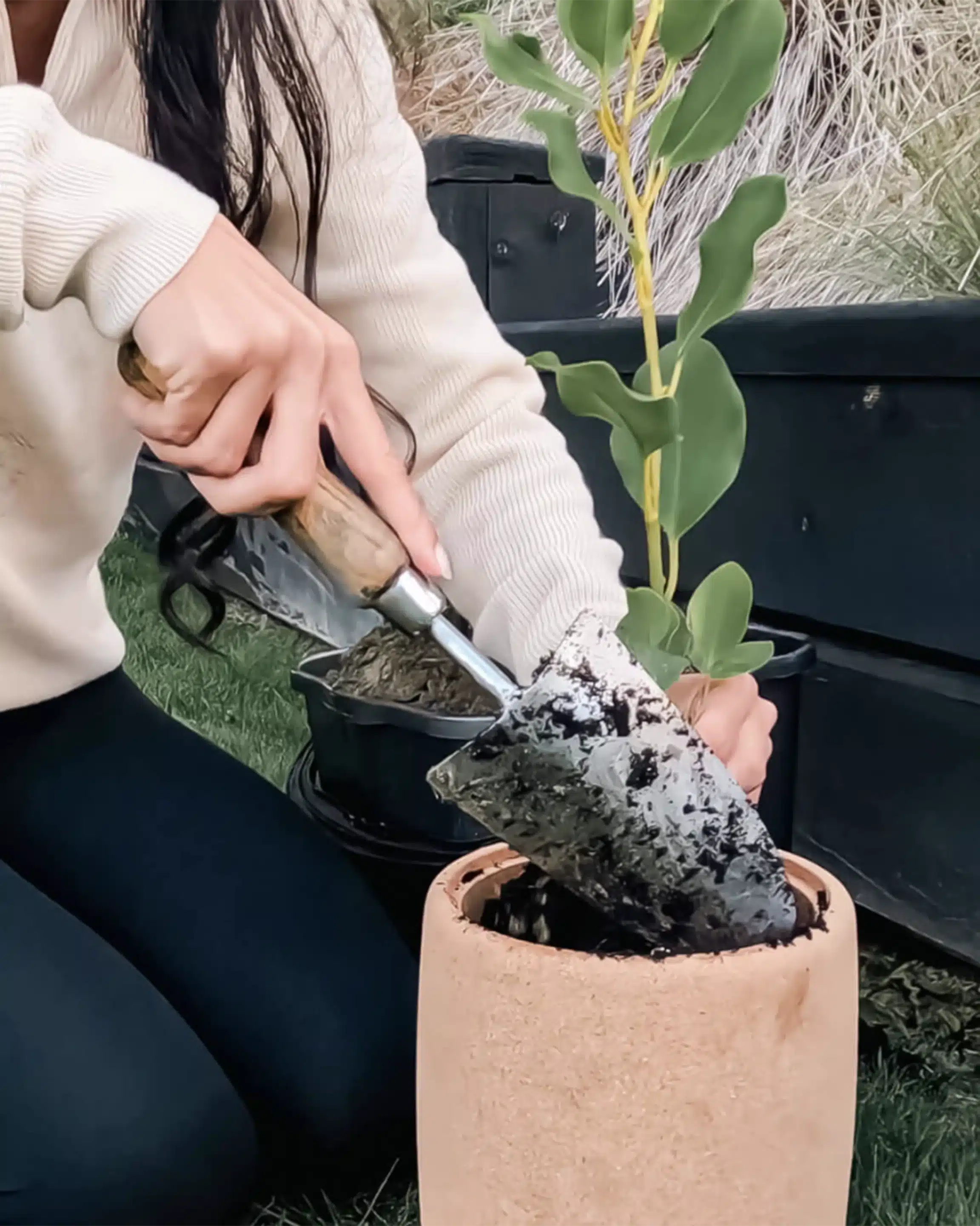 Tree Urn with your  young tree or plant.