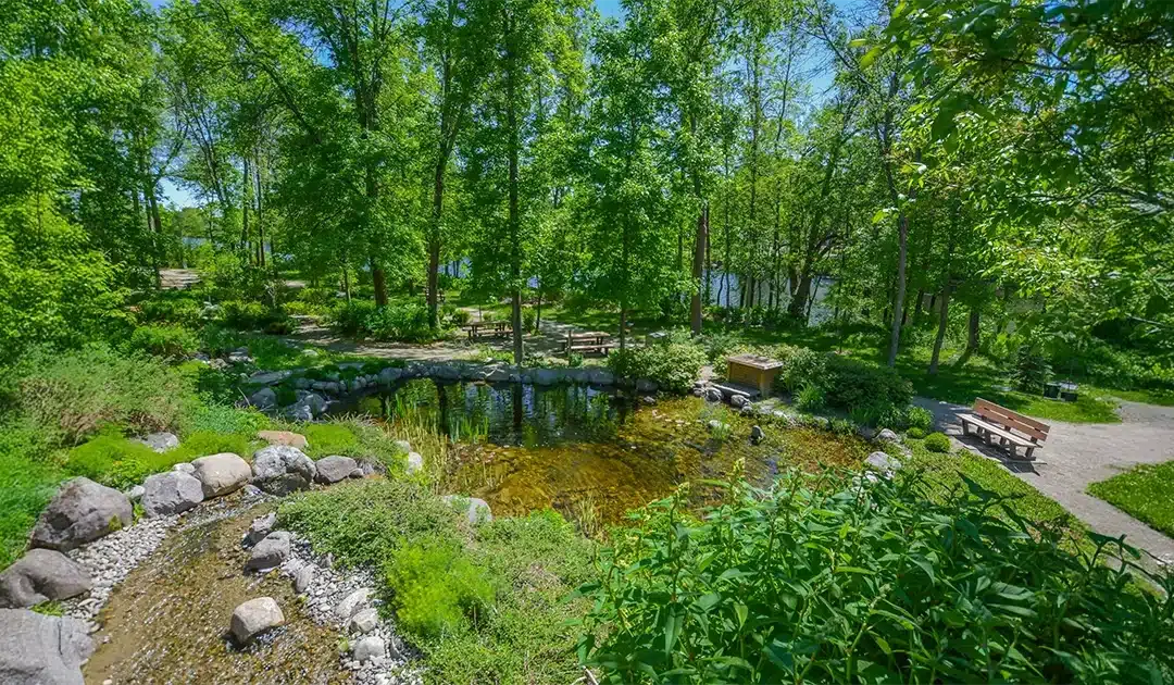 Ecological Cemetery and Tree-Urn: The Foundation of a Green Tribute