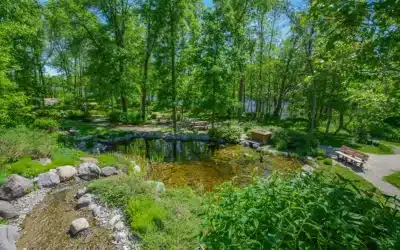 Ecological Cemetery and Tree-Urn: The Foundation of a Green Tribute