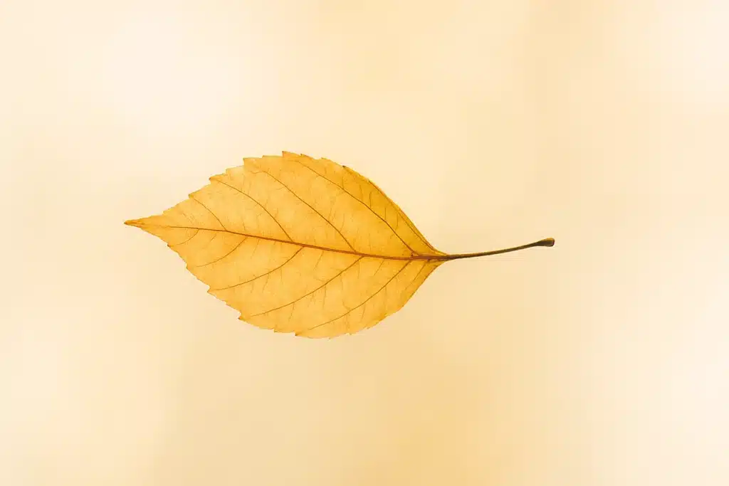 The importance of grief