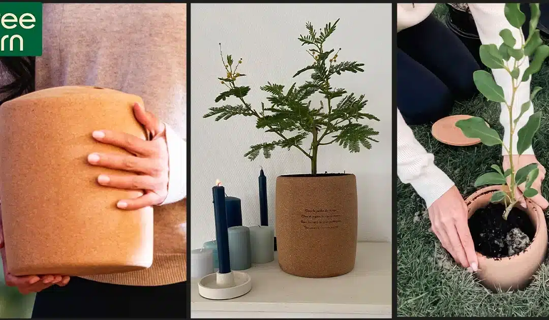 Tree Urn: A Psychological Tool to Process Grief and Loss