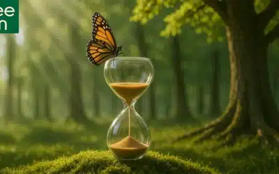 Tree Urn: Acknowledging Mortality for a Fulfilling Life in Full Awareness.