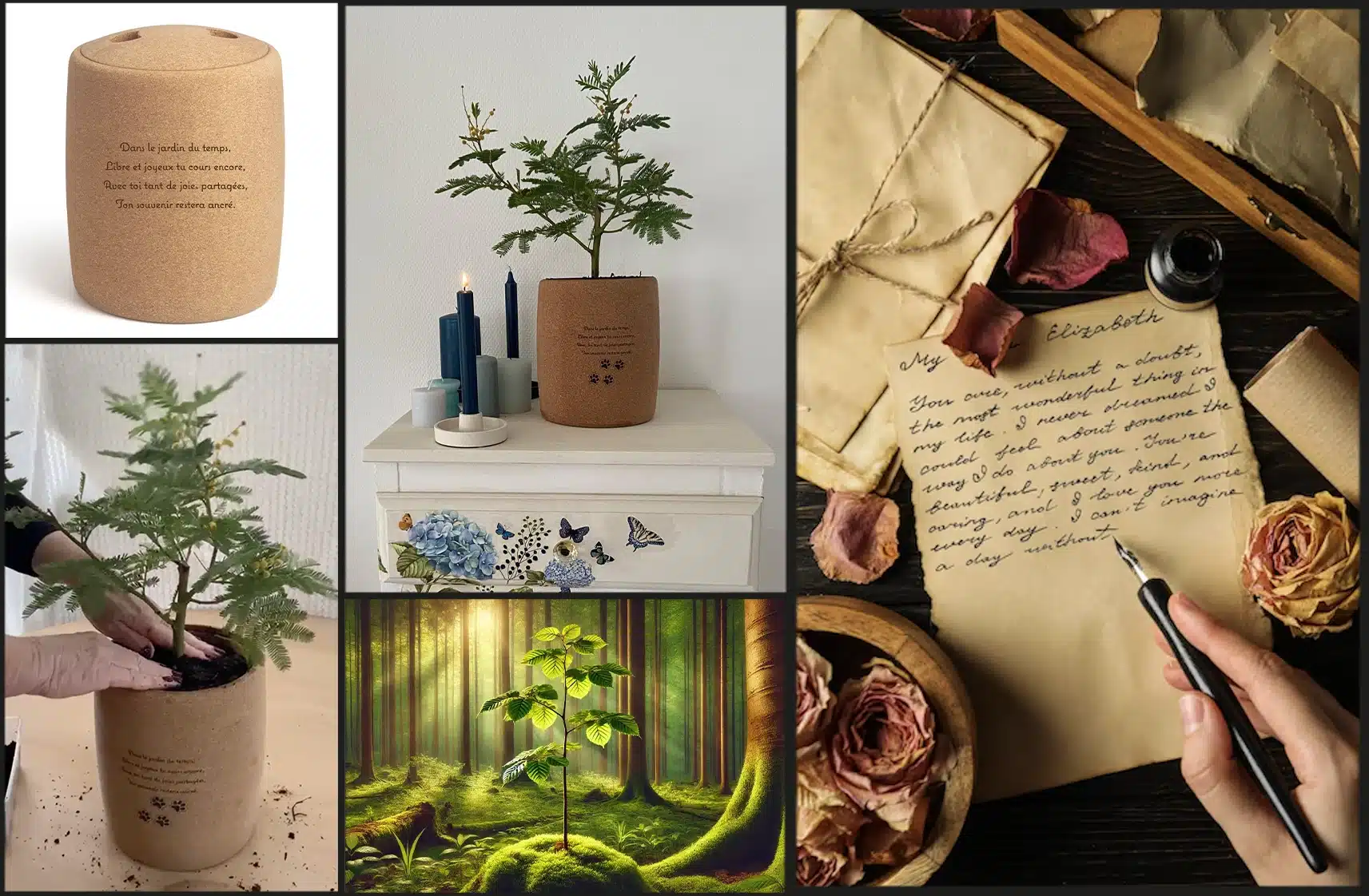 How Tree Urn transforms life How Tree Urn transforms life