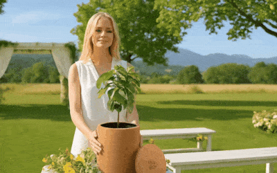 Funeral Urns: Types, Uses and How to Choose the Right Urn