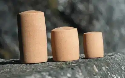 Buying a Human Ashes Urn to Plant: Your Guide to Choosing the Right Tree-Urn