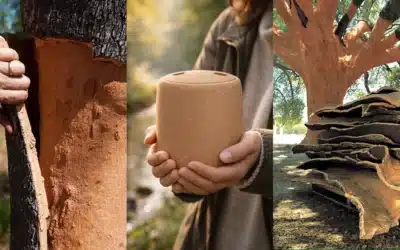 Purchase a Cork Urn: Tree-Urn The Ultimate Choice