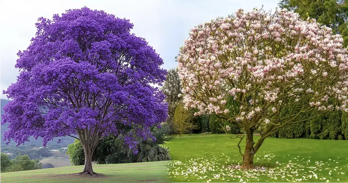 Biodegradable Urn with samping -Cost Biodegradable Urn with samping Cost