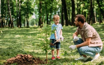 Can I Bury My Pet’s Ashes in the Garden? Guide & Laws in Europe