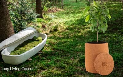 Green Funeral Alternatives: Choosing a Sustainable Tribute